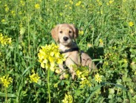 Urs Balthasar Im Januar